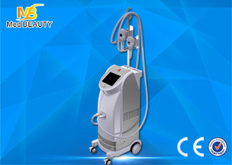 চীন Best seller vertical fat freezing cryolipolisis coolsculpting cryolipolysis machine সরবরাহকারী