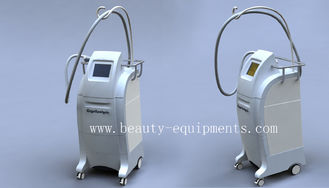 চীন 2012 Most Popular Cryolipolysis Fat Reduction Cryolipolysis Machines সরবরাহকারী